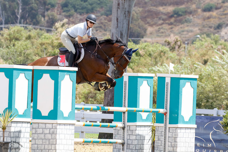 Diamond Mountain Stables